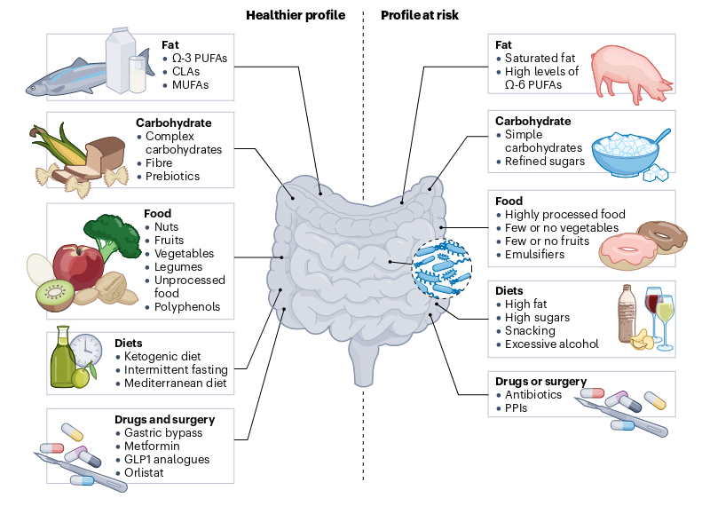 ../_images/Factors_influencing_the_gut_microbiota.png